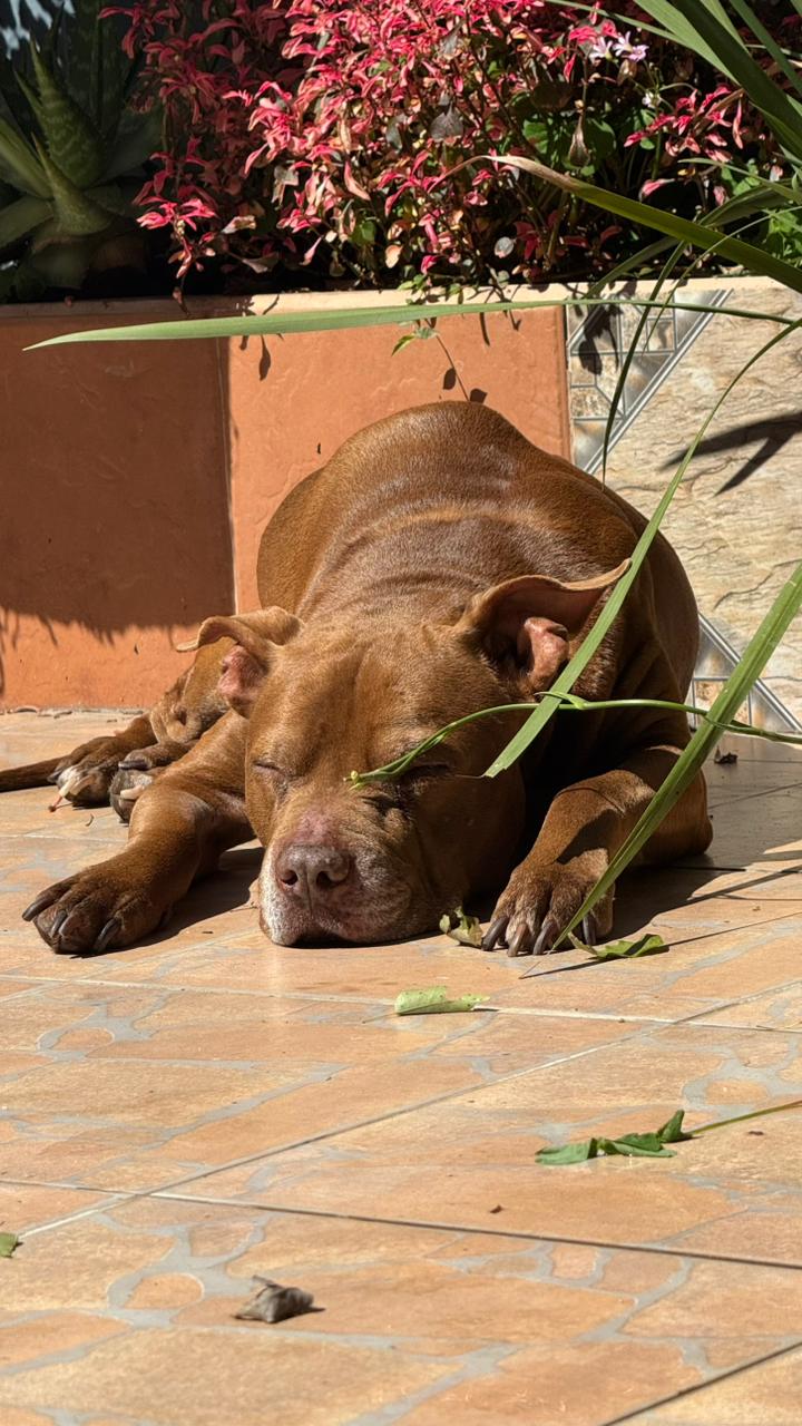 Lee más sobre el artículo Alex