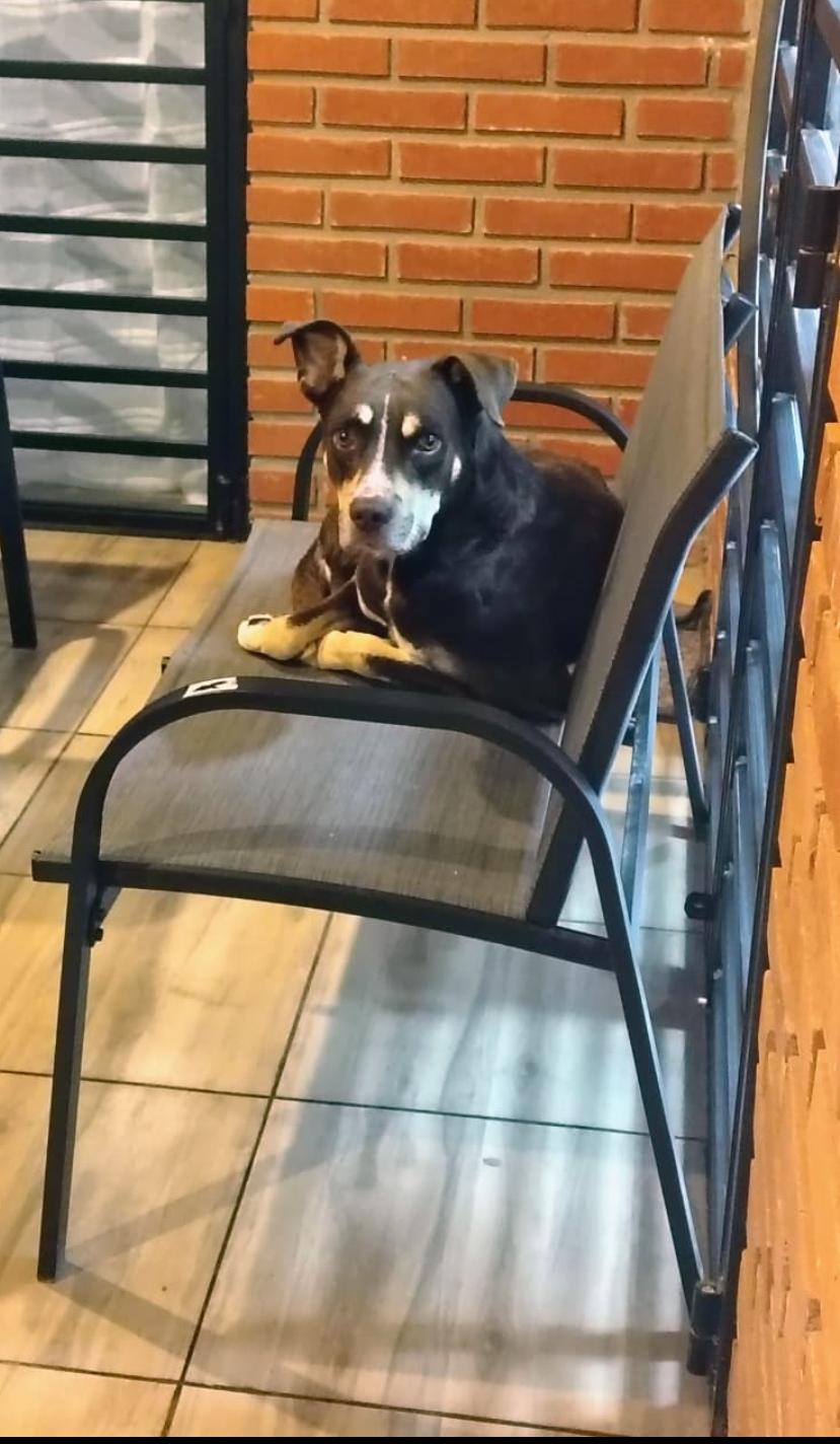 Lee más sobre el artículo Choco
